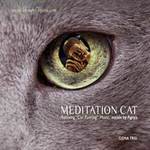 Cover Meditation Cat (SchnurrMusik)