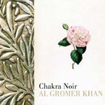 Cover Chakra Noir