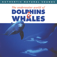 Cover Dolphins & Whales