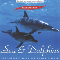 Cover Sea & Dolphins