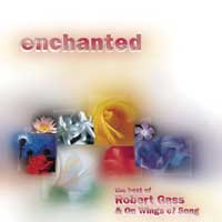 Cover Enchanted - Best of