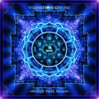 Cover Vibration Divine